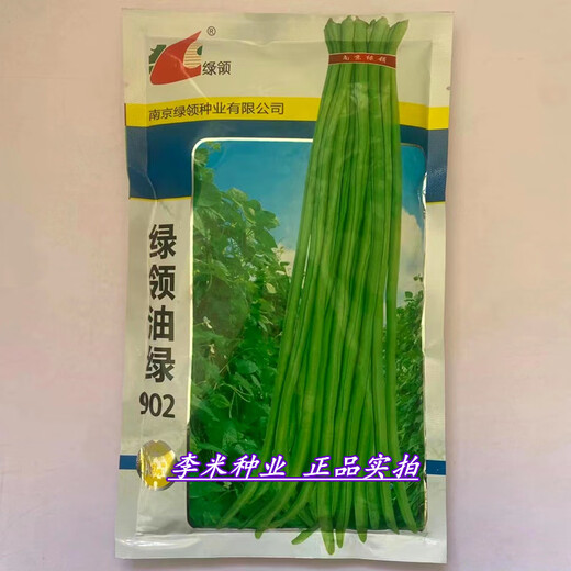 枫麦萱绿领油绿长豇豆种籽春夏秋季播早熟耐热农家大田基地用长豆角种孑 绿领油绿902【袋装400克】