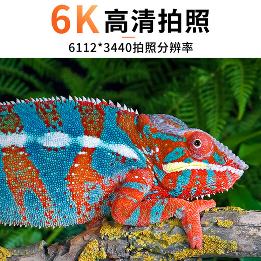 汇博士 HDMI高清摄像头 电视机投影直播摄像头书法绘画教学现场展示 4K【直连电视】HD-05变焦款(大三角支架)