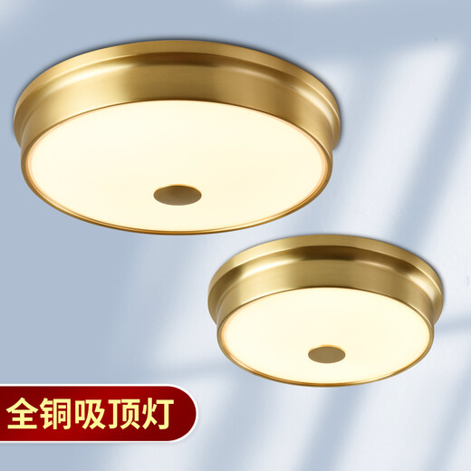Villa entrance light, outdoor ceiling light, self-built house entrance ceiling light, door light on the door, all-copper balcony aisle, new Chinese style modern simple entrance corridor, entrance hall, glass waterproof lamp, large size - diameter 42*height 11cm (LED three-color 48W*2