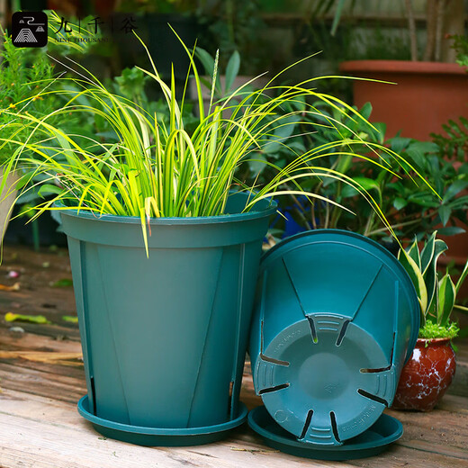 九千谷青山盆控根盆4号带托盘1.5加仑盆栽花盆控水透气 21cm3个装2691