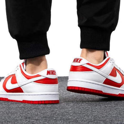 耐克（NIKE）官方男鞋 冬季新款运动鞋Dunk Low Retro复古时尚低帮轻便休闲鞋 DD1391-600/ 41