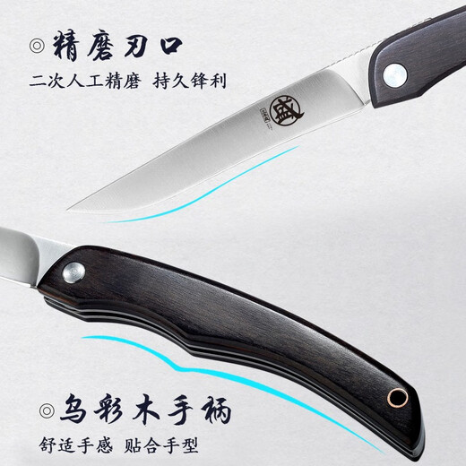 三本盛日本进口水果刀家用折叠小刀牛排刀多功能刀露营便携随身野餐刀具 日本爱知AUS8：知者·折叠水果刀