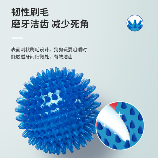 EETOYS small thorn ball blue dog toy fun sounding teeth grinding and bite-resistant tooth cleaning ball to relieve boredom alone pet supplies