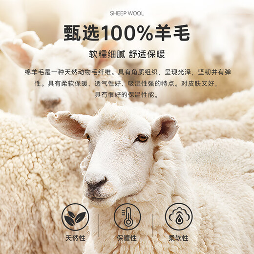 Raidy Boer/Raidi Boer 100% sheep wool men's hot diamond double-headed eagle wool sweater 5074 black 180/52/XL