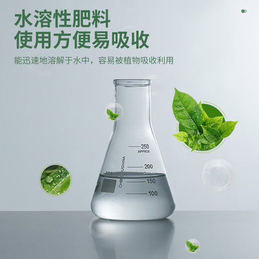 Stanley (STANLEY) Ferrous Sulfate Flower Fertilizer Flower Flower Granules General Purpose Fertilizer for Jasmine, Rhododendron and Gardenia 100g