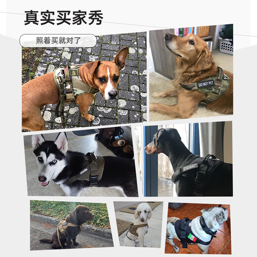 Outstanding Dog Harness German Shepherd Leash Large Dog Harness Vest Type Dog Leash Edge Collar Doberman Explosion-proof Dog Leash Black/Dog Leash Not Included L Size (Recommended Weight 50-80 Jin Jin is equal to 0.5 kg)