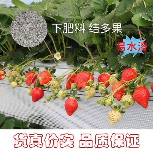 Yara Norway Yara Compound Fertilizer Organic Fertilizer Fruit Tree Flower Potted Seedlings Vegetable Plants Universal Comprehensive Nutritional Fertilizer 50Jin Jin equals 0.5kg =25kg