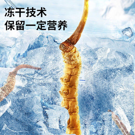 雷允上冬虫夏草3.2根/g 100g约320根虫草礼盒送长辈送领导礼品