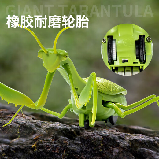 LNGA Landgre Control remoto Mantis Simulación eléctrica Juguetes Douyin Prank Artifact Cockroach Boys puede mover los animales de rastreo de araña [Versión clásica - Control remoto Ladybug] Modelo rojo 9922 Estándar oficial
