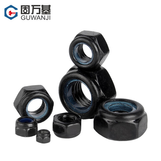 Guwanji anti-loosening self-locking nut black 304 stainless steel nylon anti-slip locking hexagonal nut national standard fastener 304 black M8 10 pieces