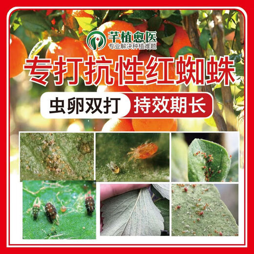 Zhenpin Miteke specializes in killing resistant red spider eggs and has the characteristics of killing red spider mites. Agricultural barreled fertilizer Mantike 500mLx1