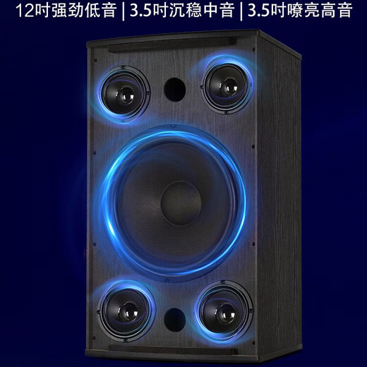 Malata audio set home KTV audio shop stage training room dance studio Bluetooth amplifier microphone speaker 12-inch five-unit audio pair
