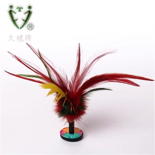 Xinjian shuttlecock Taicang brand kick-resistant shuttlecock for elementary school students and children special use shuttlecock competition chicken feather key sports xj training Taijian shuttlecock 1 piece TJ202
