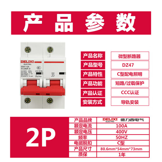 Delixi Electric overload air switch 100a small circuit breaker C-type switch main gate DZ47-125-2P-C100
