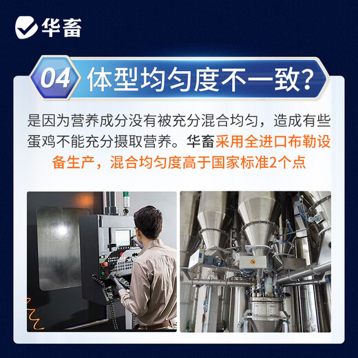 Huazhu 5 layer hen premix, egg production peak period, chicken feed, egg production period feed, reserve chicken early stage compound premix, layer hen breeding period feed, whole ton as low as 90 bags