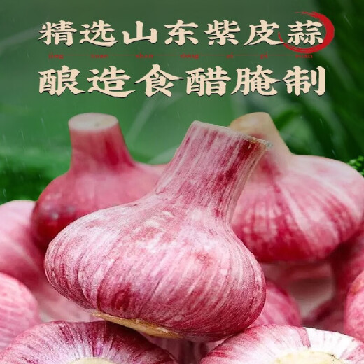 Fragrant Knight Laba Garlic 400g/can Shandong specialty vinegar pickled garlic, sweet and sour garlic pickled garlic, pickled vegetables, pickled vegetables, Laba garlic 400g/can (buy 2 = make 3 bottles)