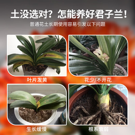 Devodoro Clivia special plant nutrient soil 15L gardening and green plant flower soil planting soil organic matrix soil