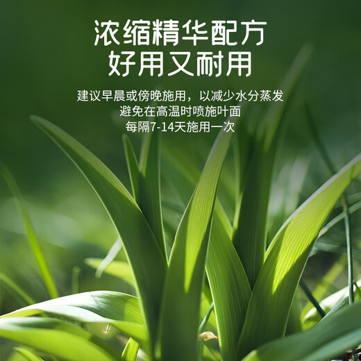 Devodo dragon blood tree special plant nutrient solution 2.5L gardening green plant flower potted flower fertilizer hydroponic planting foliage fertilizer