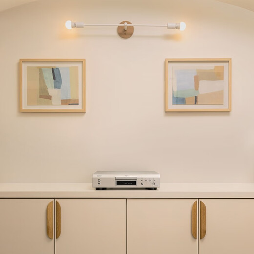 天龙（DENON）DCD-900NE CD机 播放机 家庭影院 音响 音箱 无损音质 天龙功放  USB 蓝牙 推荐搭配PMA-900功放机