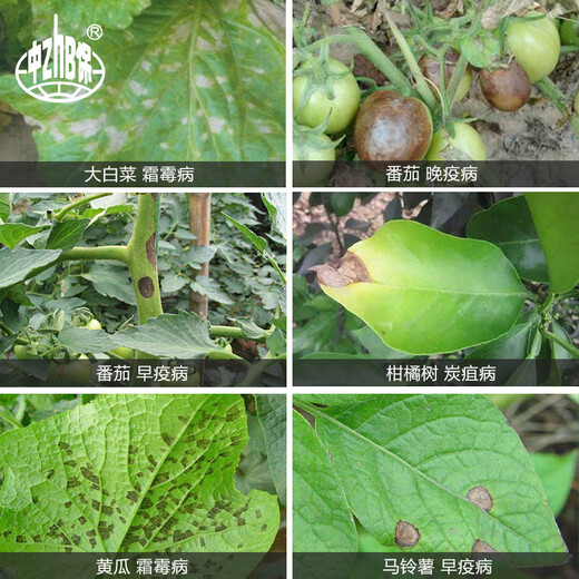 Bayer Germany Antaisheng 70% proponium zinc early blight downy mildew powdery mildew leaf spot pesticide fungicide zinc supplement 25g/bag