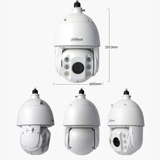 
dahua Dahua 6-inch network ball machine 2 million high-definition smart high-speed ball machine outdoor waterproof 150 meters starlight infrared surveillance outdoor camera 23x zoom DH-SD6223-D2-i standard configuration