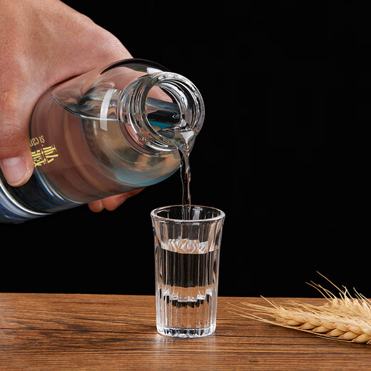 Baijie wine bottle empty bottle high-end bubble wine special bottle white wine bottle wine jar storage wine bottle glass bottle wine jar wine jar 2 pieces