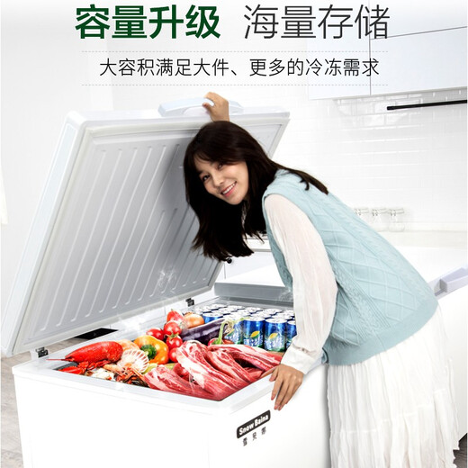 Xuebeina Freezer Commercial Large Capacity Full Freezer Home Dual Temperature Horizontal Freezer Display Cabinet 1388 Single Temperature Intelligent Temperature Control Level 1 Energy Efficiency