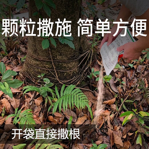 Eastern Sichuan pesticide cyclazinone copper weed killer, large trees, bamboos, shrubs, rotten roots and dead roots, special pesticide herbicide 500g