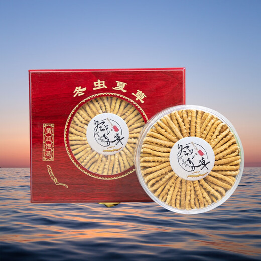正宗冬虫夏草礼盒装虫草10克装50条正品甘孜藏族干货虫草礼盒装 正宗4条一克小虫草 正宗虫草20克装