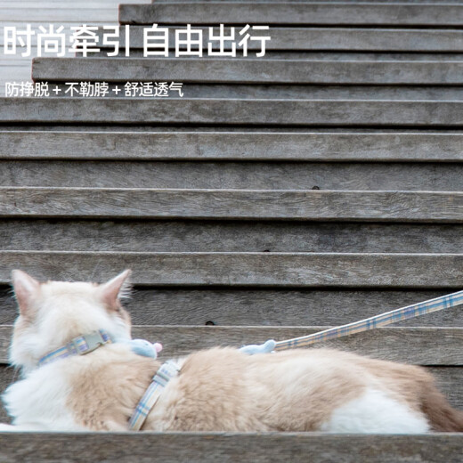 Hanhan Paradise Cat Rope Traction Collar Anti-Escape Cat Rope Chain Rabbit Pet Harness Collar Blue M