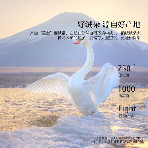 Mercury Home Textiles goose down quilt type A 95% white goose down quilt core thickened winter quilt antibacterial and anti-mite bedding warm autumn and winter down quilt Shiwen Huayu antibacterial and anti-mite goose down winter quilt 200cm 230cm