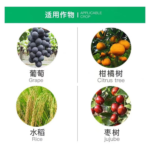 20% gibberellic acid 920 plant growth regulator gibberellin grape germination pesticide elongation agent growth regulator 1g (5 packs)