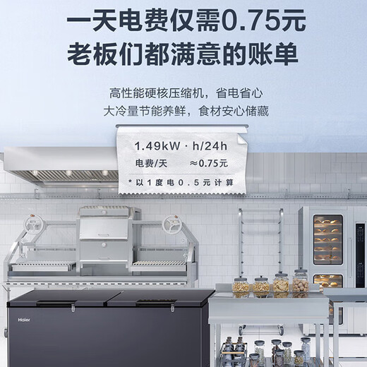 Haier offers 15% off for a limited time Home Freezer Large Capacity Top Door Horizontal Small Freezer Single Temperature Freezer Commercial Ultra-Low Temperature Deep Freezer -38 Cell Level Freezing丨Air-cooled and frost-free丨480 liters丨Odor-free and antibacterial