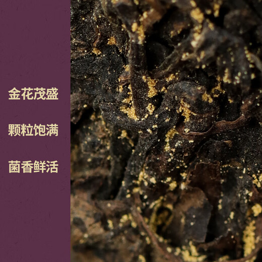 Little Senior Sister Reviews Tea Baishaxi Plum Fu Tea Black Tea Authentic Hunan Anhua Dark Tea Golden Flower Fu Brick Tea 2024 Plum Fu 900g