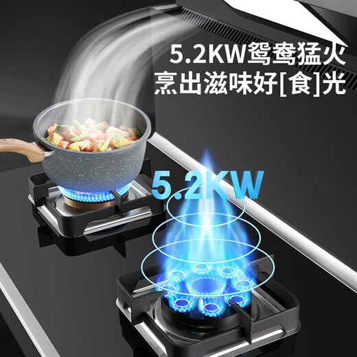 冈田（日本）集成灶一体式 蒸烤一体家用变频集成灶消毒柜蒸箱烤箱一体型独立蒸烤一体机 集成烹饪中心 高性价比【T701】双层消毒 【瓶装-液化气】