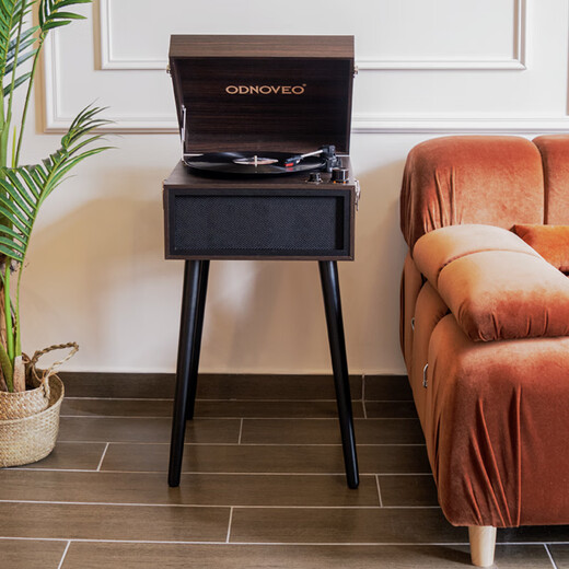 Otieno European-style simple multi-functional vinyl record player radio gift gift Bluetooth audio retro model room record player home floor-standing gramophone order free record combination three