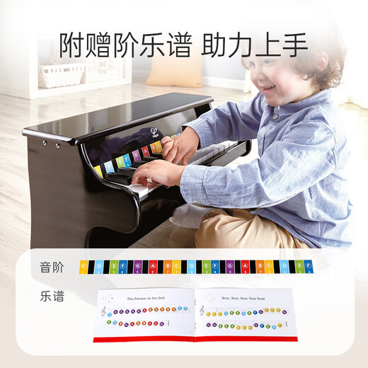 Hape (Germany) Boy Toy Girl Wooden Piano Instrument 25 Key Piano Black 3-6-12 Years Old Gift E8463