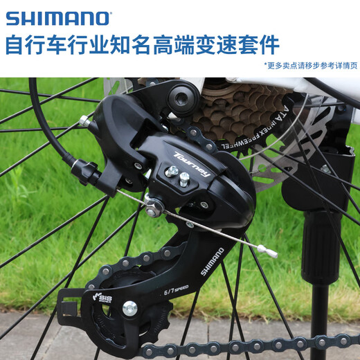 福特平把公路自行车成人青少年中学生超轻变速单车 
 YM200-流光银L码