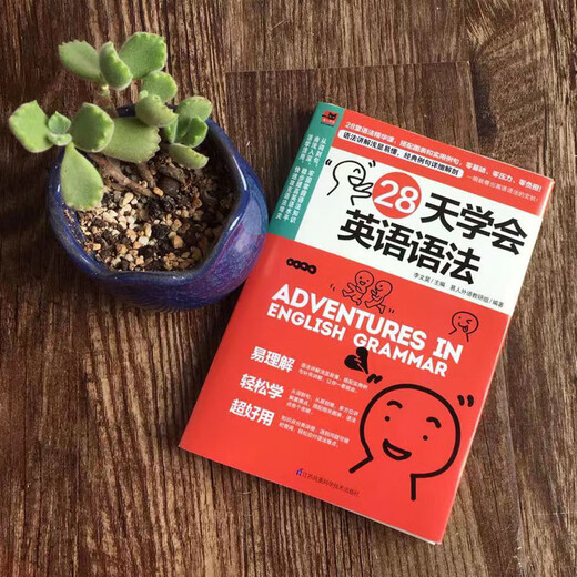 Lernen Sie die englische Grammatik in 28 Tagen. Englische Grammatik. Einführung in das Selbststudium der englischen Sprache