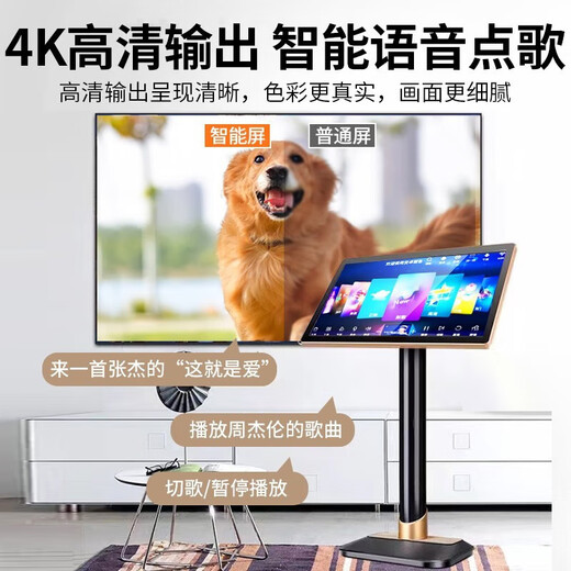 HYUNDAI modern home theater ktv audio set computer TV living room home karaoke karaoke full set of professional amplifier speaker equipment hot-selling karaoke machine set