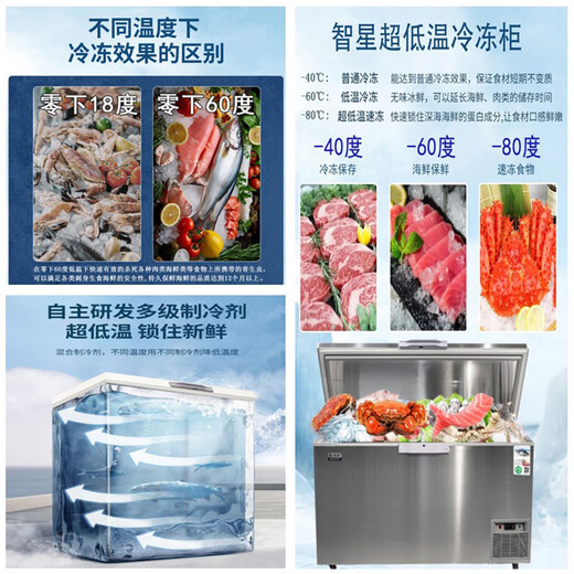Zhixing (ZX) Freezer de temperatura ultra baja menos 60 grados de sashimi horizontal Hogar comercial Deep Freezer de pesca de mar Atubo Almacenamiento de acero inoxidable Investigación biológica industrial Refrigerador grande DW-695 (-45) 1.95 metros de largo
