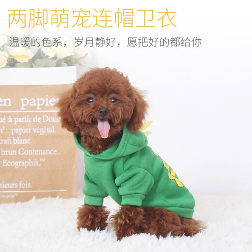 Hanhan Pet Dog Clothes Cat Clothes Pet Clothes Transformation Cat Clothes Small and Medium-sized Dogs and Puppies Autumn and Winter Clothes Small Dinosaur Style S Size Recommended Weight 2-4 Jin [Jin is equal to 0.5 kg]