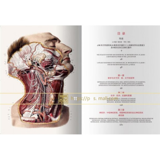 现货包邮中英对照版Taschen原版引进Altas of Human Anatomy人体解剖图谱 真人比例人体手绘手稿艺术画册700余幅彩色图谱832页画册