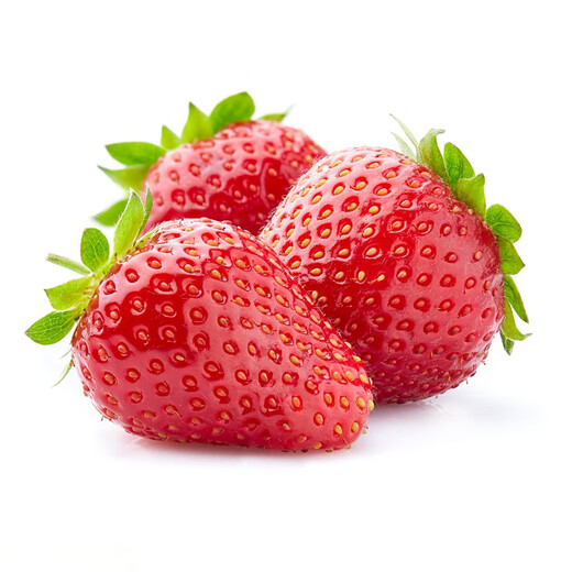 Strawberry seed cream strawberry seedlings for planting indoor and outdoor balcony vegetables and fruits potted flower seeds Dandong Spring Four Seasons Rainbow Field Four Seasons Milk Strawberry Seeds 150 capsules