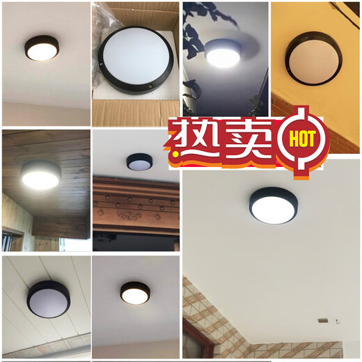 Villa gate light, outdoor ceiling light, self-built house gate ceiling light, door light on the door, outdoor waterproof balcony light, moisture-proof and insect-proof aisle light, circular corridor door light, LED diameter 27.5cm bronze + 30 watt LED chip