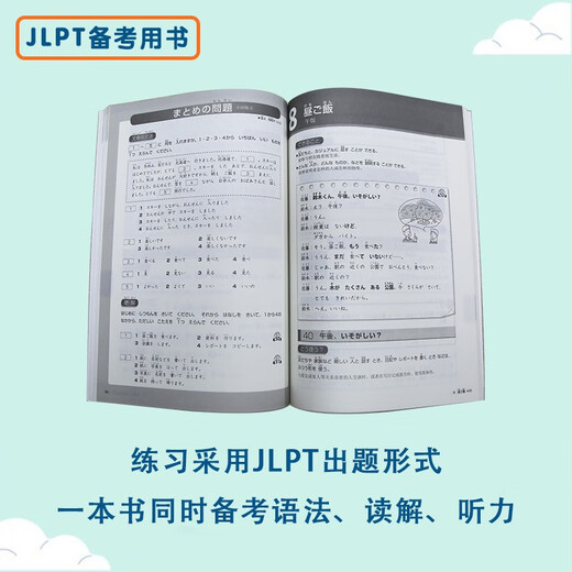 TRY! New Japanese Language Proficiency Test N5 Grammar Essentials (Japanese Original)