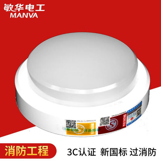 Man Wah Electrician Man Wah Fire Emergency Evacuation Lighting Surface Mounted Ceiling Light Aisle Corridor Light LED Corridor Light Emergency Lighting 220V-Man Wah 150mm Direct Emergency Ceiling Light