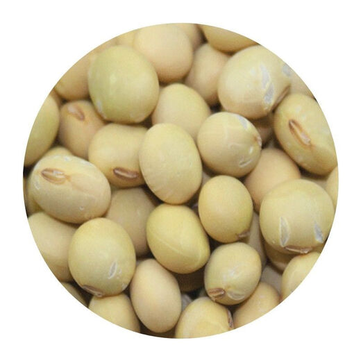 One thousand Jin Jin is equal to 0.5 kilograms of soybean seeds. Farmers grow high-protein soybean seeds in large fields. Soybean seeds. Bawangbian 1 Jin Jin is equal to 0.5 kilograms.