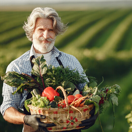 Beishu Bingtangzi melon seeds collection Boyang melon seeds Emerald melon seeds 50 capsules/bag