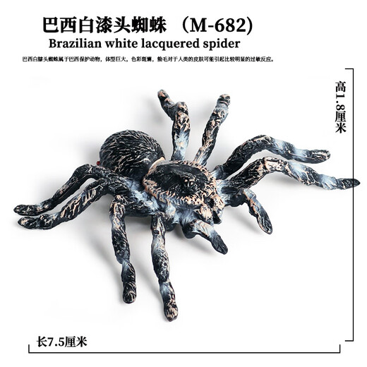 仿真橡胶蜘蛛新款万圣节整蛊玩具仿真蜘蛛毒蜘蛛昆虫动物模型儿童玩具塑胶摆件礼物 Ox-684巴西红丝绒蜘蛛【0.009KG】